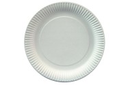 Assiettes en carton